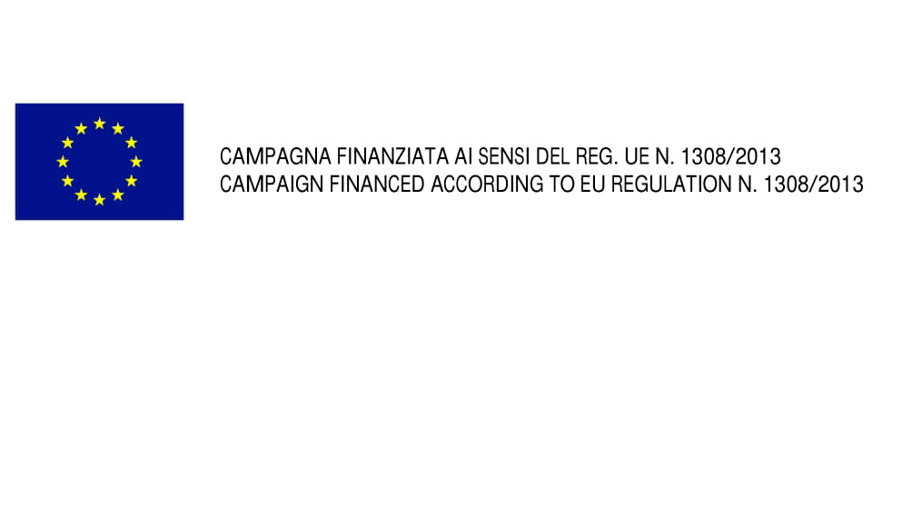 This image has an empty alt attribute; its file name is LOGO-DICITURA-MINISTERIALE-PER-MAT-PROMO-1.png